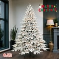 thumbnail image 1 of Tcbosik 6.5ft Pre-lit Artificial Christmas Tree with Warm White Lights, Indoor Xmas Tree with 2225 Branch Tips, 450 Incandescent Lights & Foldable Stand, Green & White, 1 of 8