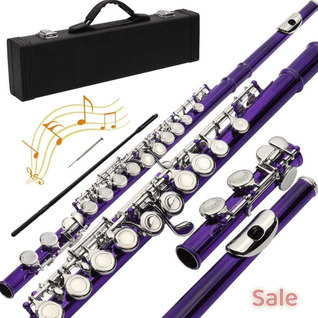 Tcbosik C Flute Closed Hole 16 Keys for Beginners with Case, Cloth, Screwdriver, Lubricant and Cleaning Rod, Purple