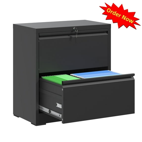 Tcbosik Lateral File Cabinet with Lock, 2-Drawer Metal Filing Cabinet, Home Office Lockable Storage Cabinet for Letter/Legal/A4/F4 Hanging Files, Black