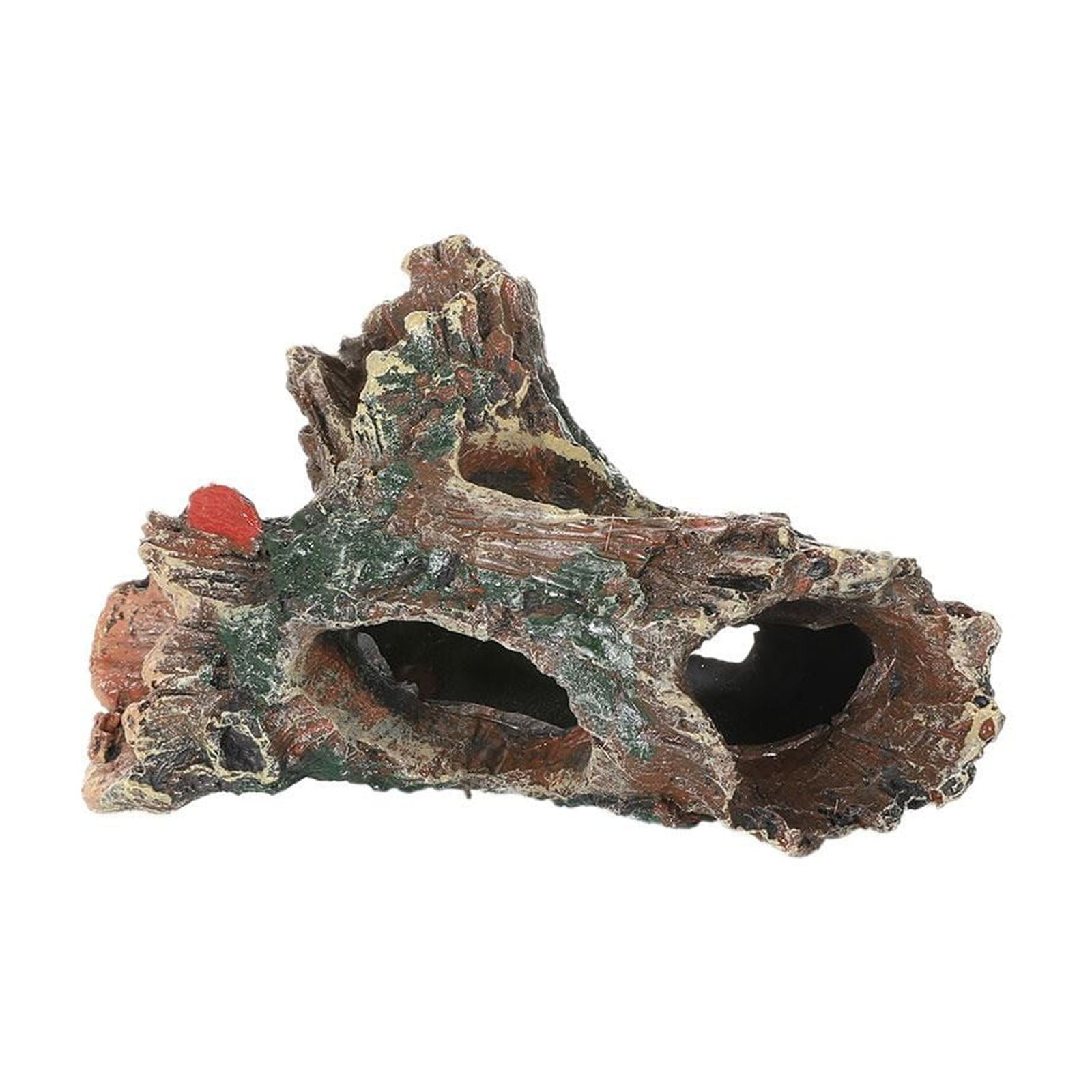 Buy Coconut Shell Aquarium Cave With Driftwood Bonsai, Aquarium Decor, Coconut Cave, Fish Tank Cave, Cichlid Cave, Betta Fish Cave, Shrimp Cave Online