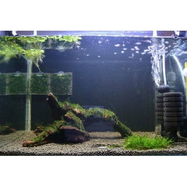 Tdoenbutw Clearance! Fish Tank Xy-2822 Aquarium Fry Tank Biochemical Sponge Filter Fish Oxygen Aquarium Accessories， Fish Tank Accessories Clearance Sale