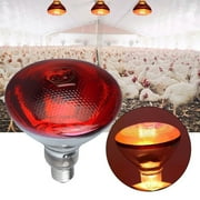 NANDIYNZHI Big Deals 250W Infrared Heat Lamp Anti Explosion Thickened Light Bulbs For Piglet Chicken Duck Birds Night Light Red