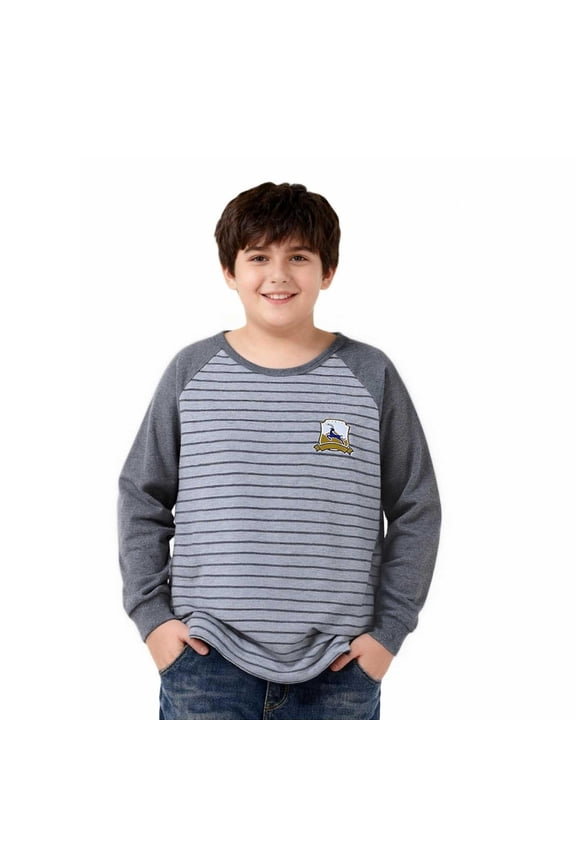 Boys Graphic T Shirts Husky- Casual Long Sleeve Cotton Cute Kids Basic Tees Gray Size 16