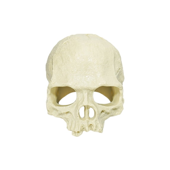 Tdxkok Resin Skull Reptile Hide CaveAquarium Terrarium Shelter OrnamentSpooky Fall Decor Safe Rest Hideout for Turtle Lizard Gecko Snake Tank Landscape Layout