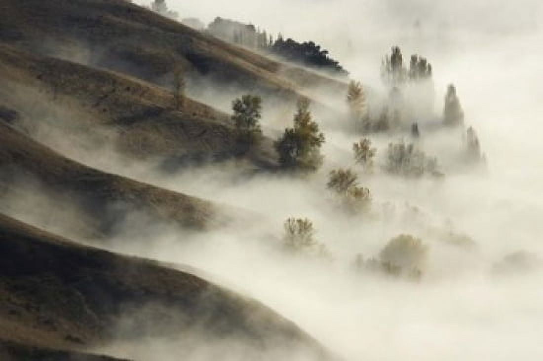 Te Mata Peak Hawkes Bay North Island New Zealand Canvas Art - David Wall DanitaDelimont (17 x 11)