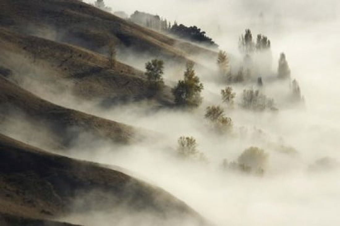 Te Mata Peak Hawkes Bay North Island New Zealand Canvas Art - David Wall DanitaDelimont (34 x 23)