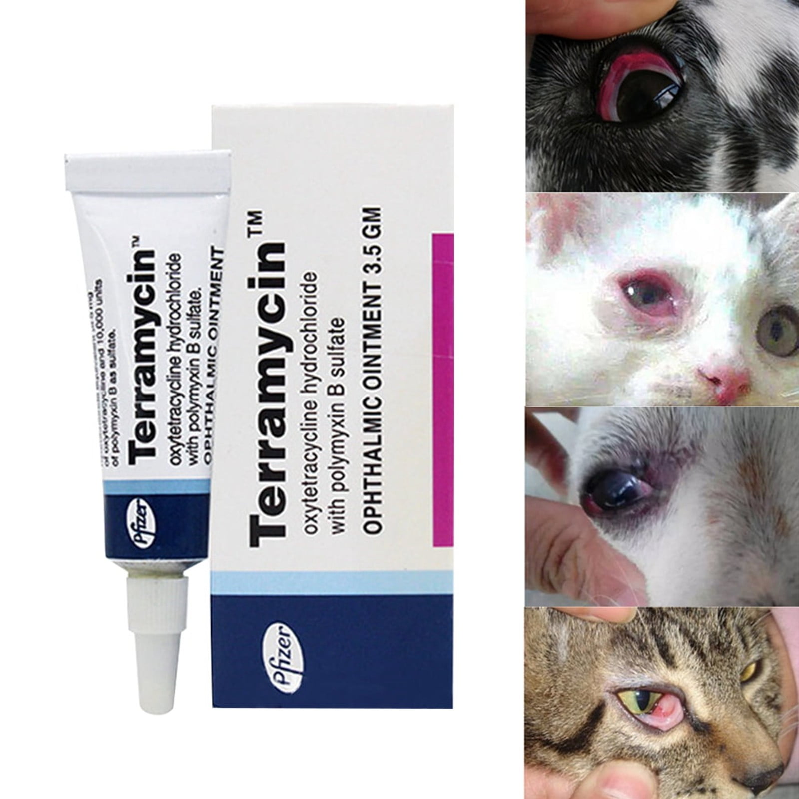 Terramycin eye ointment for cats, dogs & horses Antibiotic Ointment