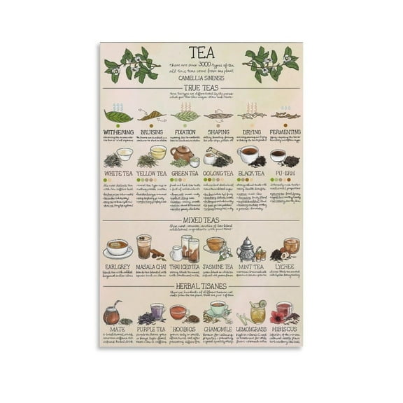 Tea Chart Poster Types of Teas Poster