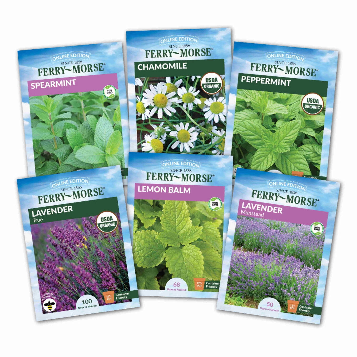 Ferry-Morse Tea Herb Seed Variety Pack - 6 Pack