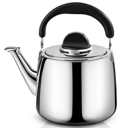 Paris Hilton Whistling Stovetop Tea Kettle, Stainless Steel with Color -  Jolinne