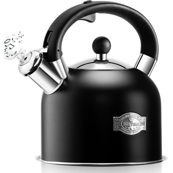 Tea Kettle - 3.17QT Whistling Kettle with Ergonomic Handle - Premium Stainless Steel Tea Pots for Stove Top, Chic Vintage Teapot with Composite Base, Work for All Stovetops (Black)