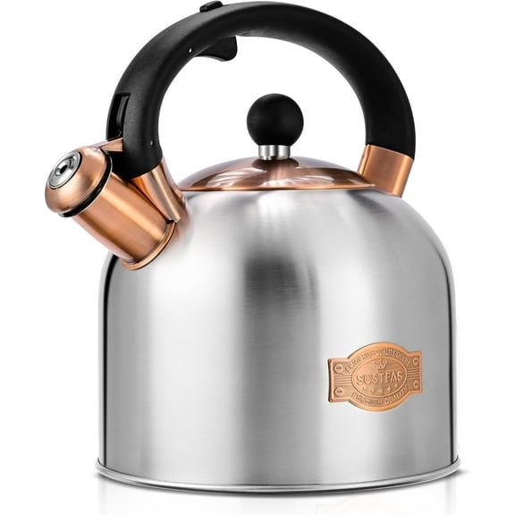 Tea Kettle - 3.17QT Whistling Kettle with Ergonomic Handle - Premium Stainless Steel Tea Pots for Stove Top, Chic Vintage Teapot with Composite Base, Work for All Stovetops (Silver)