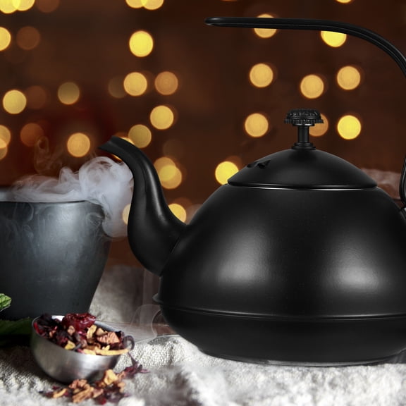 FUEENIRVA 2.5L Black Stainless Steel Teakettle for Home Kitchen, Fast Heating for Tea, Coffee, and Stylish Use