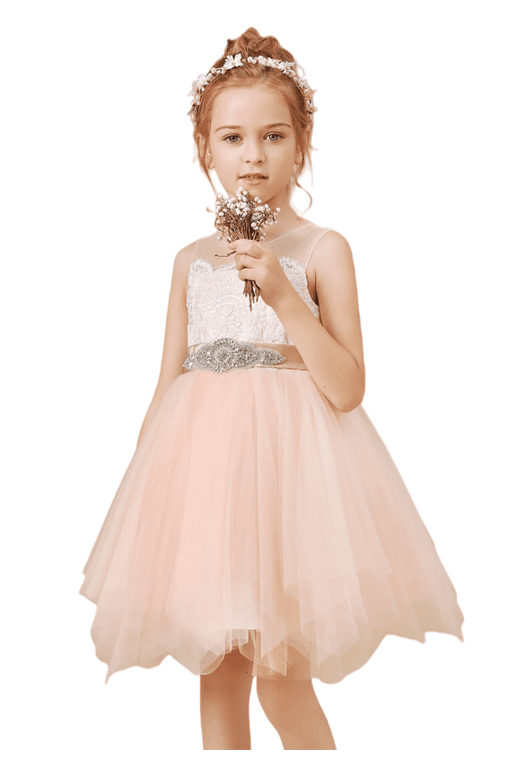 Tea Length Flower Girl Dress for Wedding Kids Tulle Princess Long Dresses Father Brithday Dance Girls Vestidos Lace Embroidery ( 4 -5 Years)