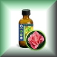 thumbnail image 1 of Tea Rose Absolute Oil (Rosa Odorata, Rosa Hybrida), 1 of 1