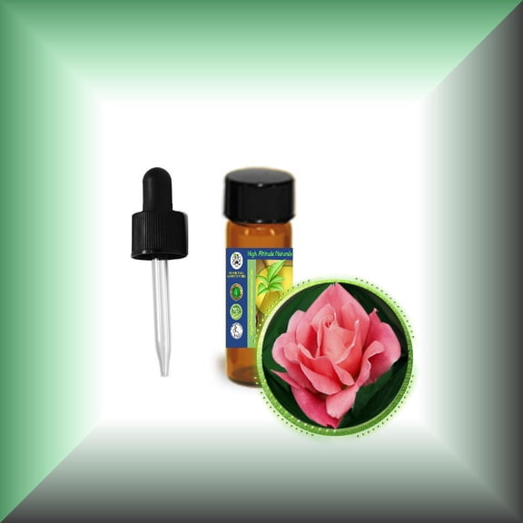 Tea Rose Absolute Oil (Rosa Odorata, Rosa Hybrida)