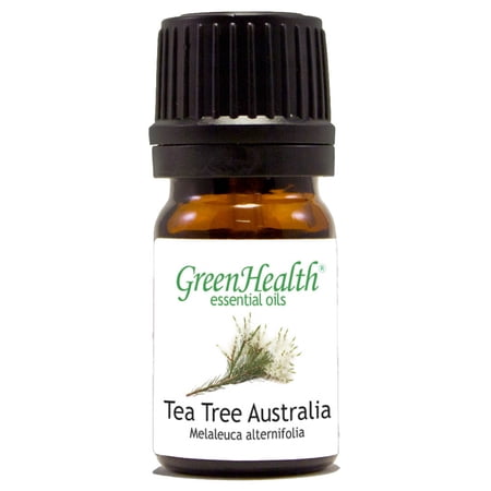 Tea Tree Australia Essential Oil - 1/6 fl oz (5 ml) Glass Bottle w/ Euro Dropper - 100% Pure Essential Oil by GreenHealth