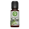thumbnail image 1 of Tea Tree Essential Oil 100% Pure Australian Tea Tree Oil -  aceite esencial de árbol de té, 1 of 5