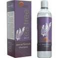 Tea Tree Oil Shampoo Pure and Natural for Women and Men Anti