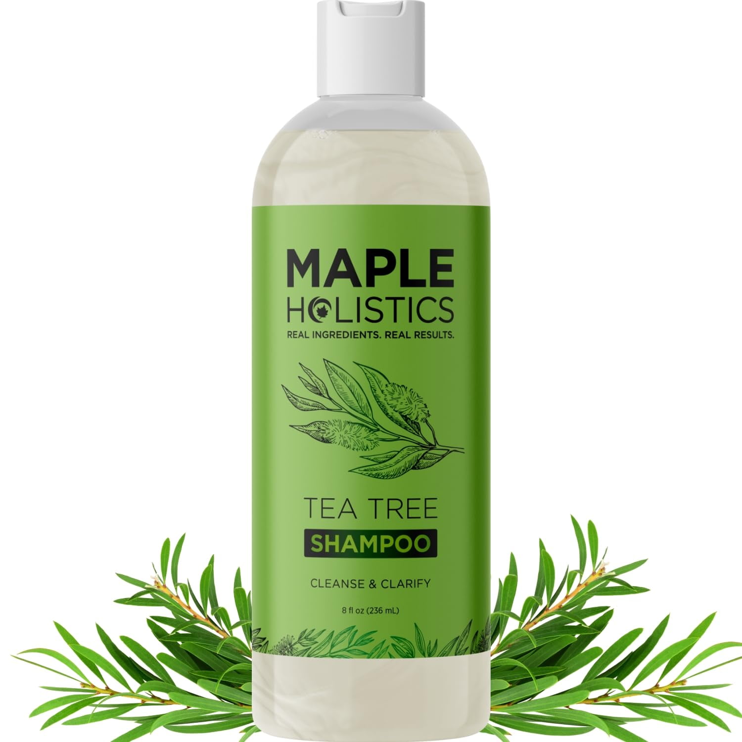Maple Holistics Tea Tree Oil Shampoo SulfateFree, for Dry Scalp, Oily Hair & Dandruff, 8 fl