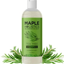 Tea Tree Oil Shampoo Sulfate Free Shampoo - Maple Holistics Tea Tree Oil Dry Scalp Shampoo For Oily Hair with Rosemary - Scalp Care Hydrating Shampoo for Women & Men - 8 fl oz