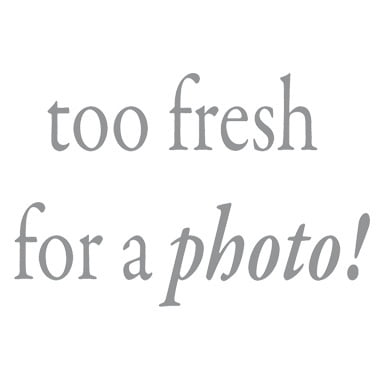 Tea Tree Therapy Toothpicks - 100 Toothpicks -