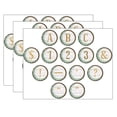 thumbnail image 1 of Teacher Created Resources Eucalyptus Circle Letters, 648 Pieces, 1 of 2