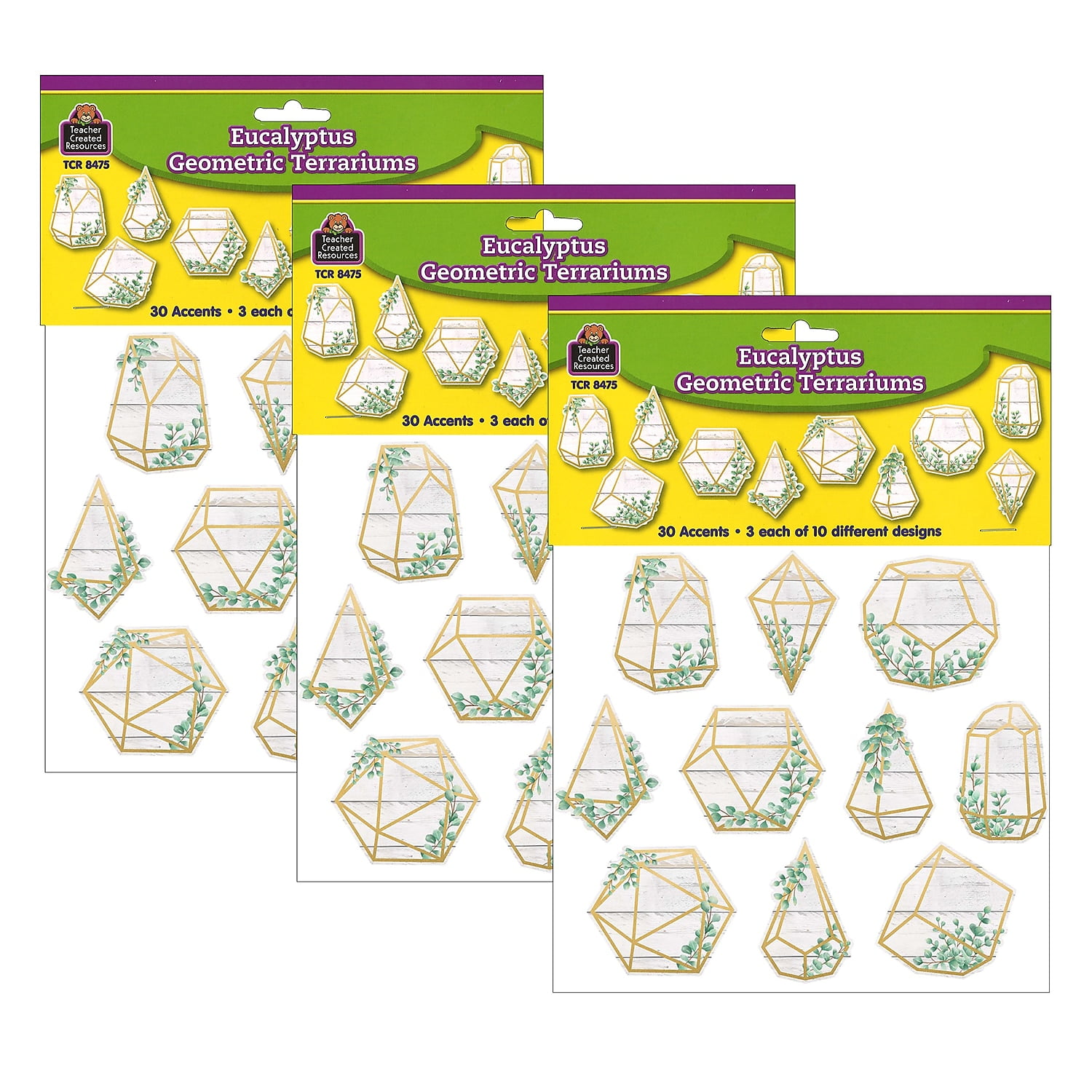 Teacher Created Resources Eucalyptus Geometric Terrariums Accents 30 Per Pack 3 Packs (TCR8475-3)