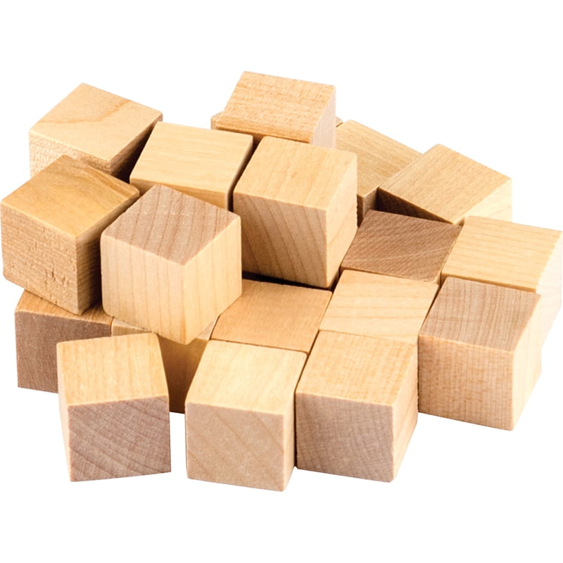 Teacher Created Resources TCR20941 0.75 x 0.75 in. Stem Basics Wooden ...