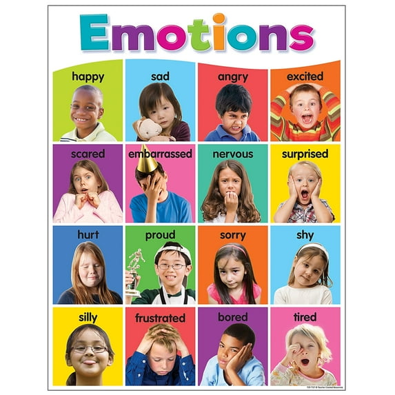 Teacher Created Resource Colorful Emotions Poster