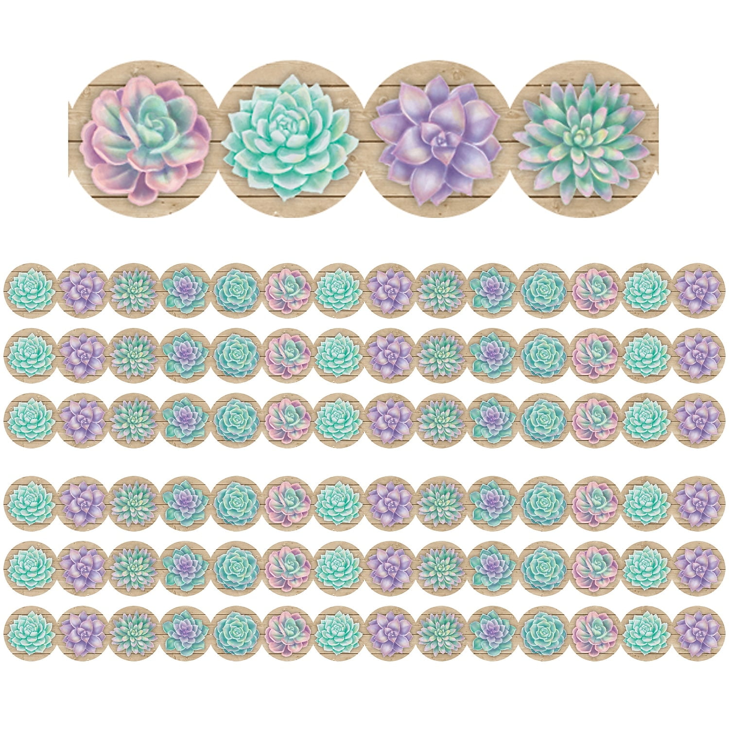 Teacher Created Resources - Rustic Bloom Succulents Die-Cut Border Trim, 35 Feet per Pack, 6 Packs, image size:1500x1500
