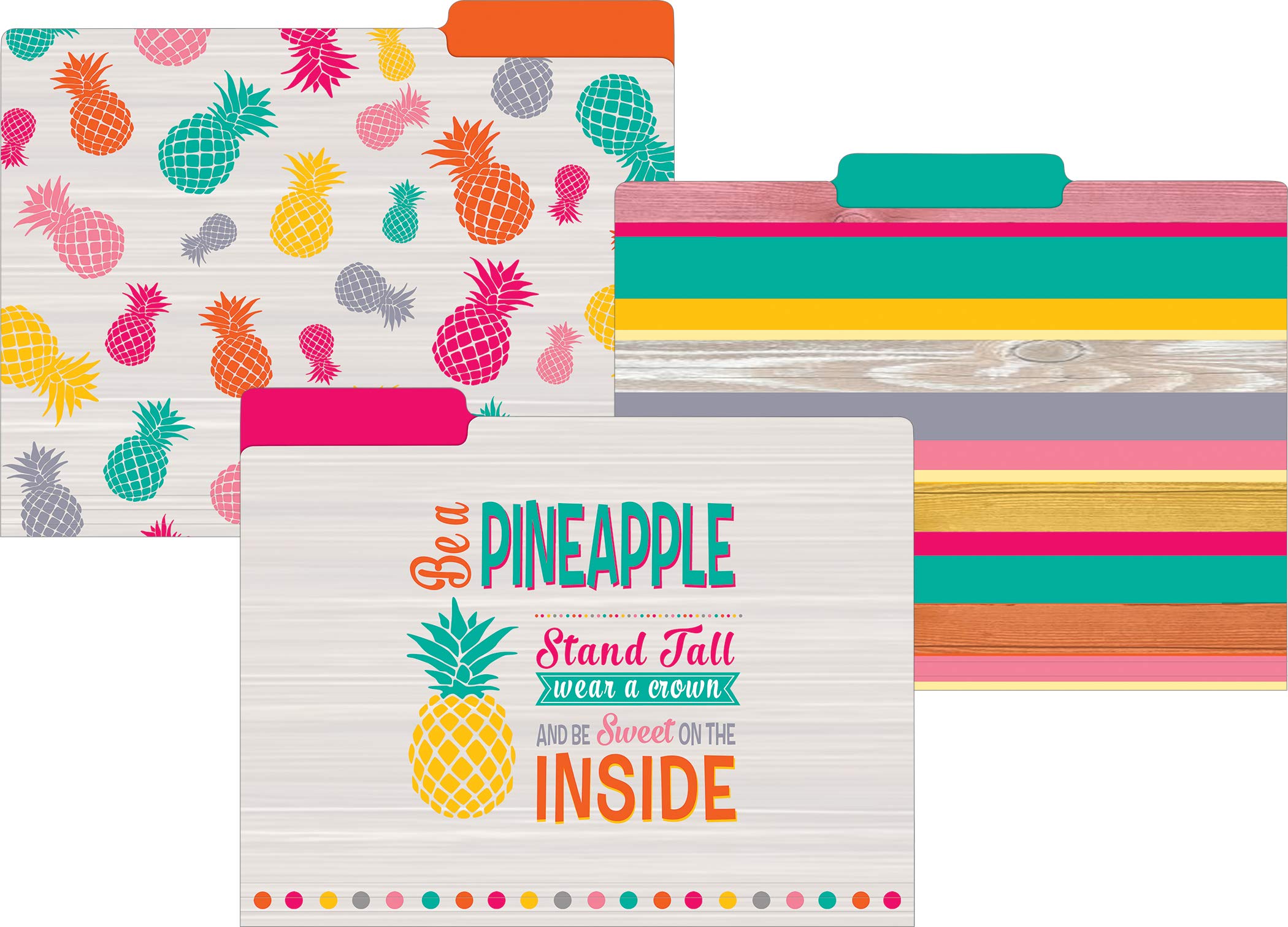 Teacher Created Resources Tropical Punched Letter Sized File Folders Teacher created resources tropical punched letter sized file folders