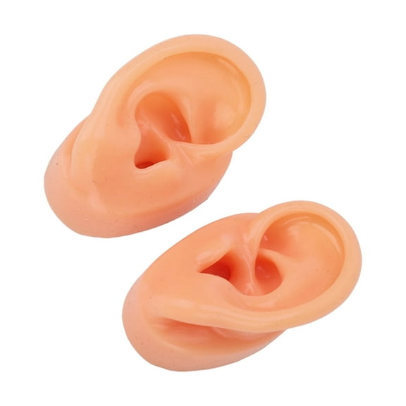 Teaching Ear Model,Human Both Ear Model,Silicone Ear Model Human Artificial Ear Display For IEM Earphones Display Lecturing