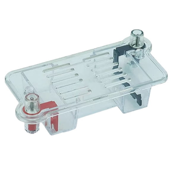 Teaching Electrophoresis Apparatus Biology Lab Teaching Equipment for Labs