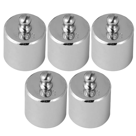 5Pcs 100g Calibration Weights for Balance Scales, Steel Precision Weight Set for Lab, Kitchen, Jewelry, and Scale Tools