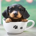 thumbnail image 1 of Teacup Pups -, 1 of 6