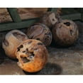 thumbnail image 1 of Teak Root Ball, 1 of 1