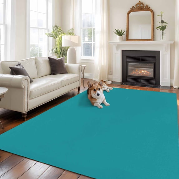 Teal Area Rugs 5x7 ft Solid Color Washable Rug Non Slip Indoor Carpet Absorbent Floor Mat for Living Room Bedroom Dining Room