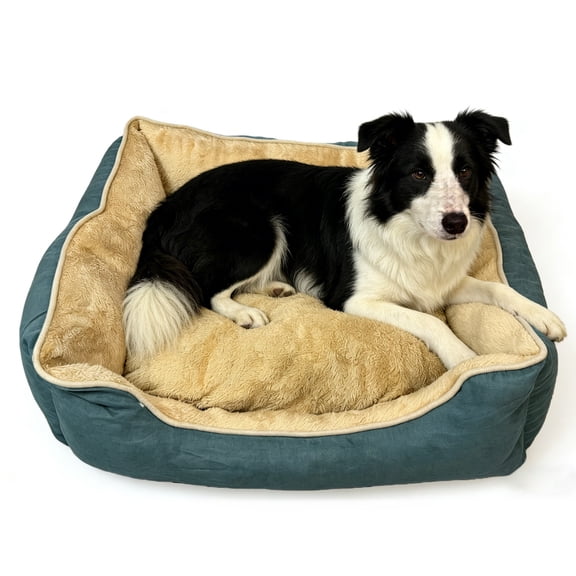 Teal & Beige Bolster Dog Bed for Medium to Large Dogs, Plush Pet Bed with Machine Washable Cover