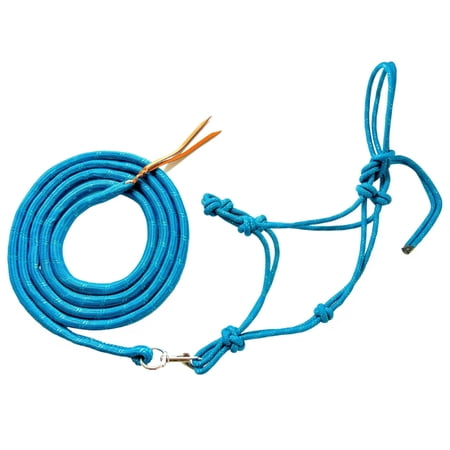 Teal Sparkle Halter & Lead Set