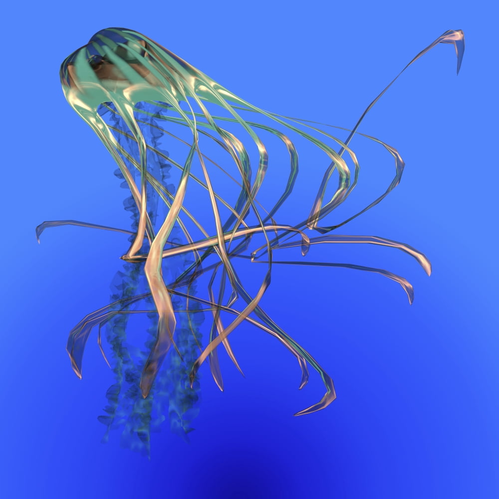 Teal jellyfish illustration Canvas Art - Corey FordStocktrek Images (28 x 28)