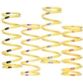 thumbnail image 1 of Team 210141-001 SkI-Doo Primary Clutch Spring Yellow/green, 1 of 1
