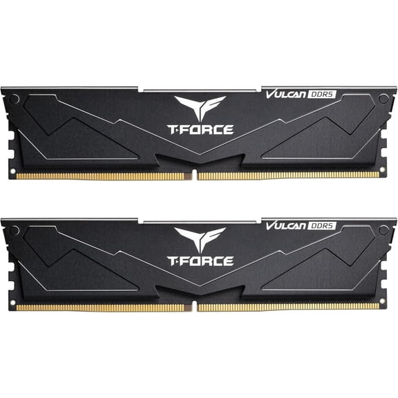 Team Group 16GB (2 x 8GB) 288-Pin PC RAM DDR5 6000 (PC5 48000) Memory Model FLBD516G6000HC38ADC01