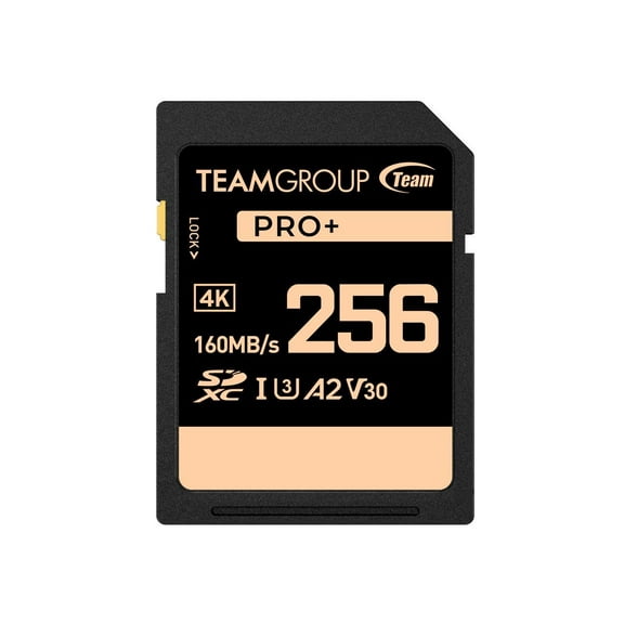 Team Group 256GB PRO+ SDXC U3 V30 A2 4K SD Card, Read/Write Speed Up to 160/90MB/s (TPPSDX256GIA2V3001)