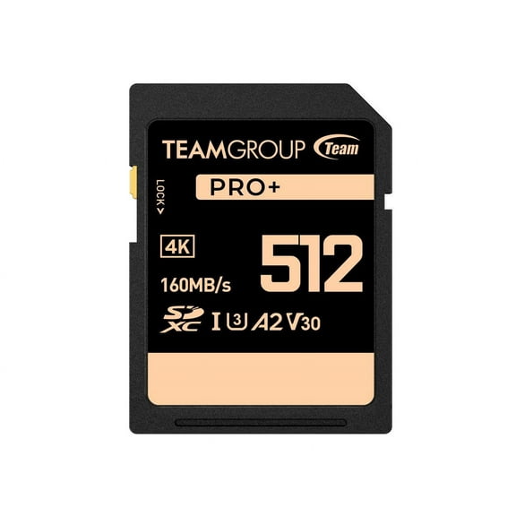 Team Group 512GB PRO+ SDXC U3 V30 A2 4K SD Card, Read/Write Speed Up to 160/90MB/s (TPPSDX512GIA2V3001)