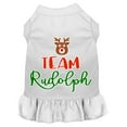thumbnail image 1 of Team Rudolph Screen Print Dog Dress, 1 of 2