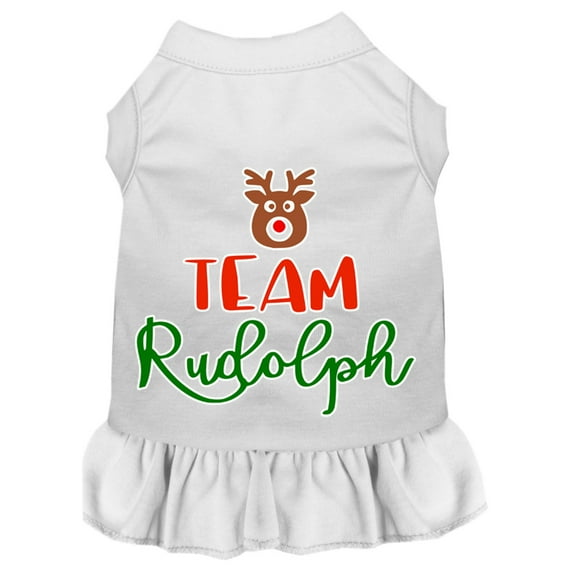 Team Rudolph Screen Print Dog Dress