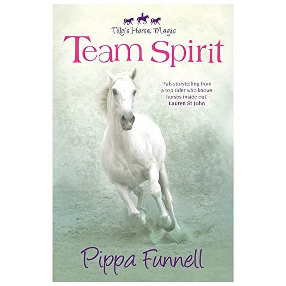 Pre-Owned Team Spirit (Paperback) 1444011987 9781444011982