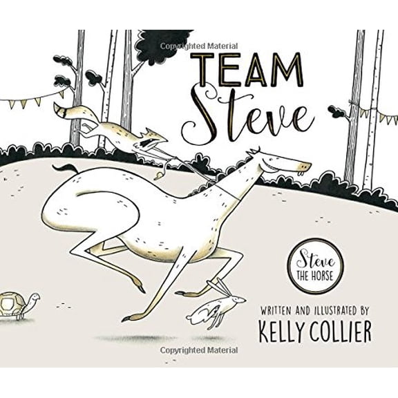 Pre-Owned Team Steve (Hardcover) 177138932X 9781771389327