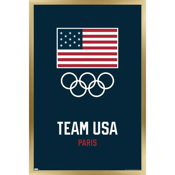 Team USA - Logo Blue Wall Poster, 14.725" x 22.375" Framed